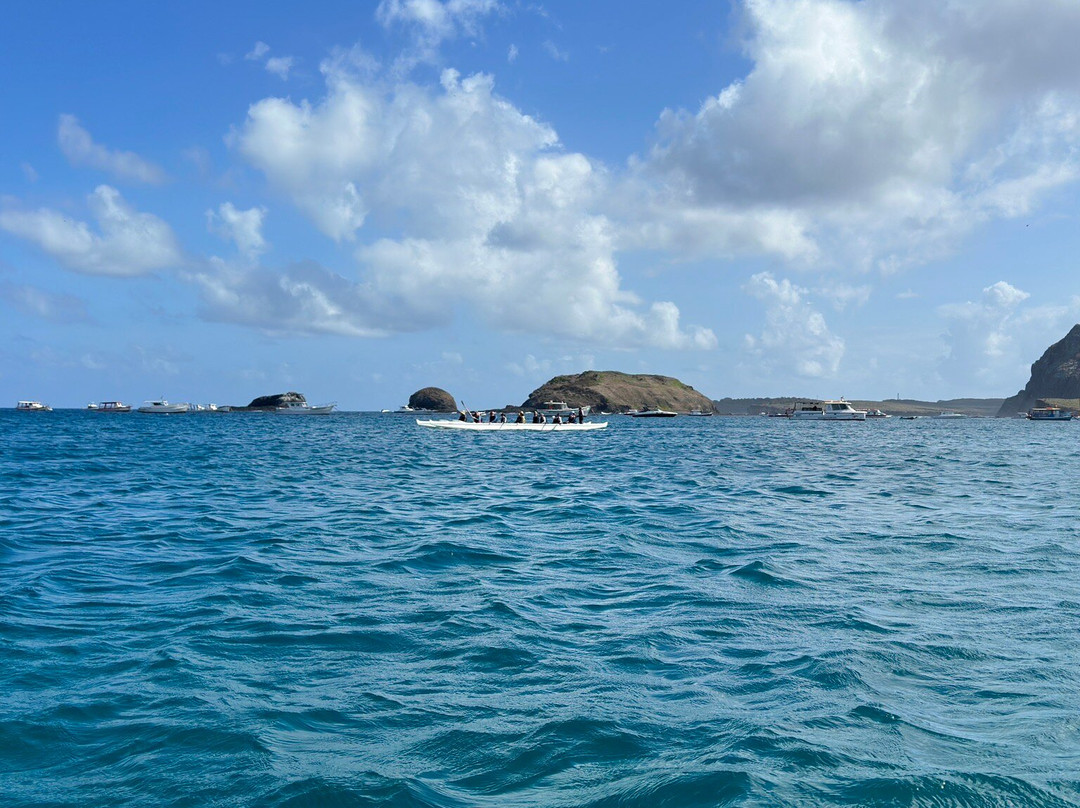 FDino Noronha-费尔南多-迪诺罗尼亚群岛必去景点