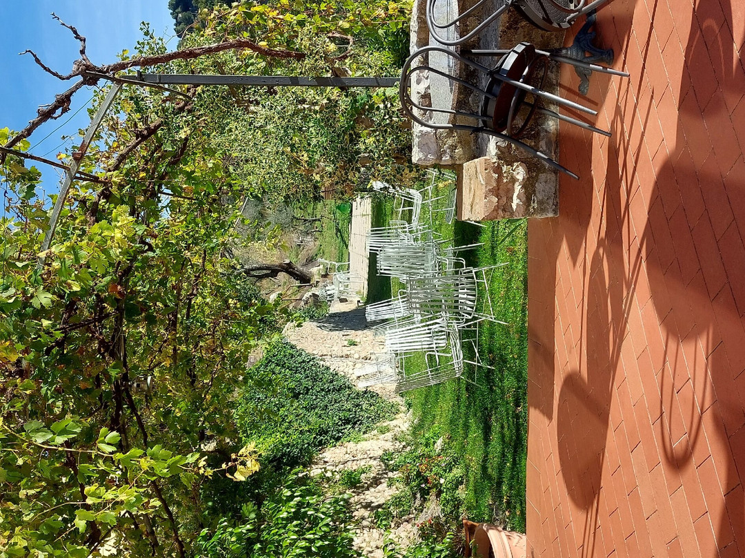 Hotel Gattapone主图