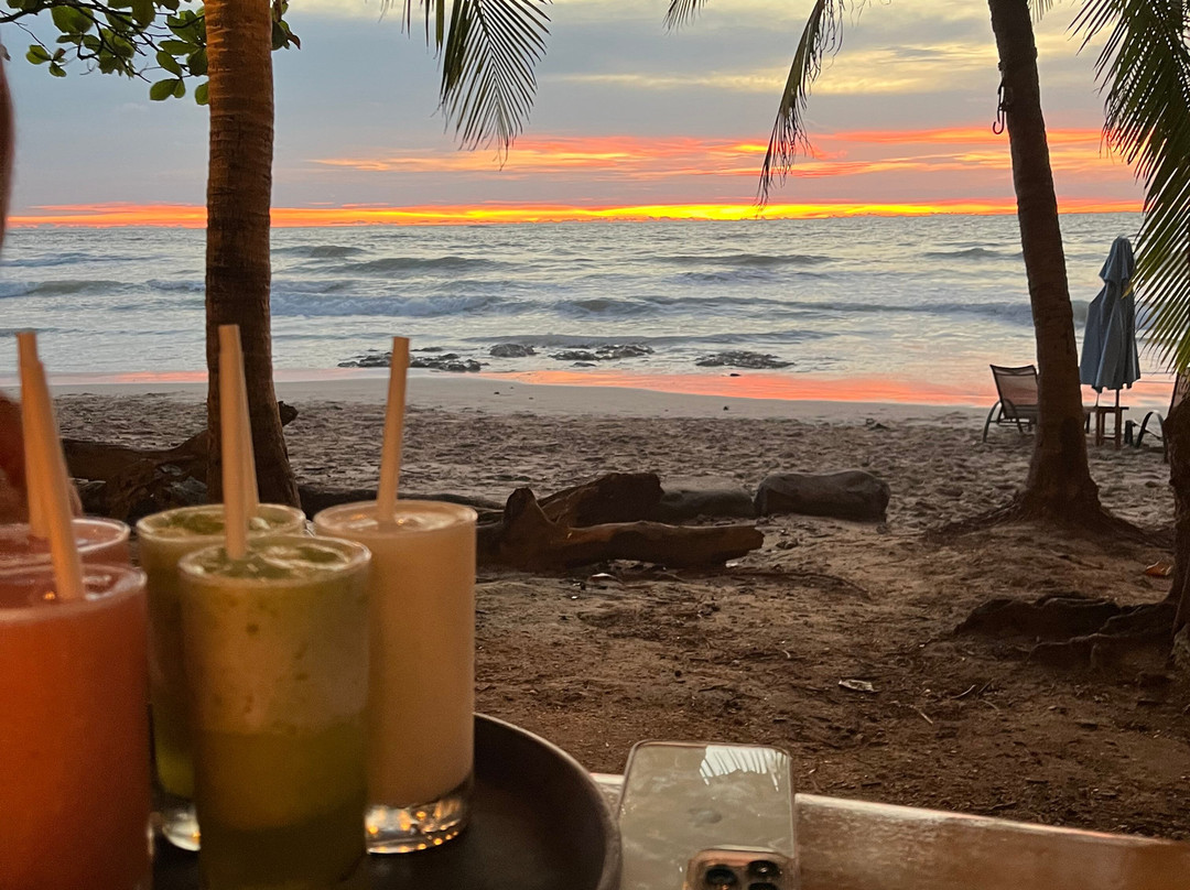 Playa Avellana景点图片