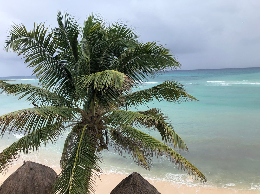 Luna Azul Condominiums主图