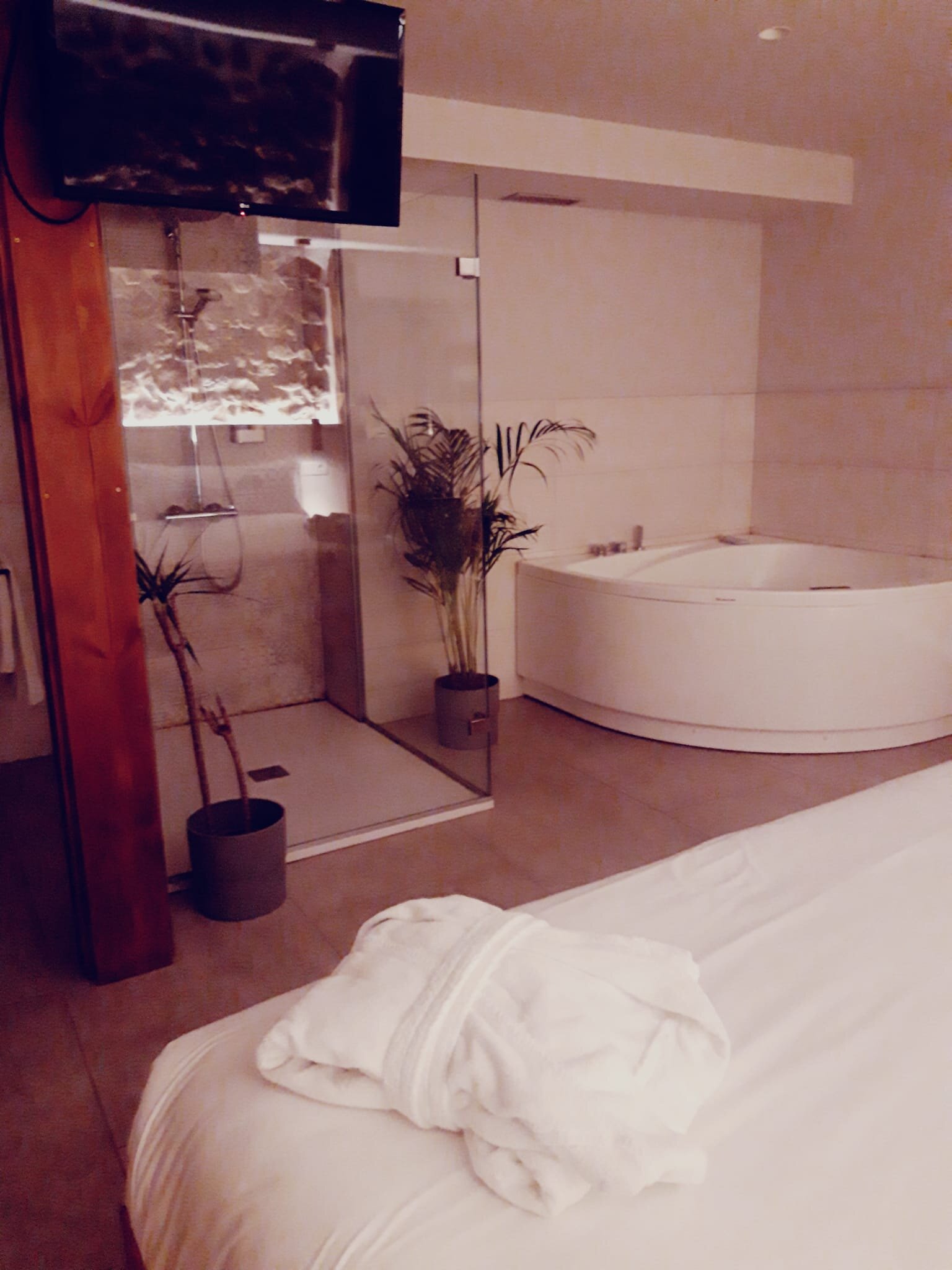 Hotel Nafarrola Gastronomy & Wine-客卧