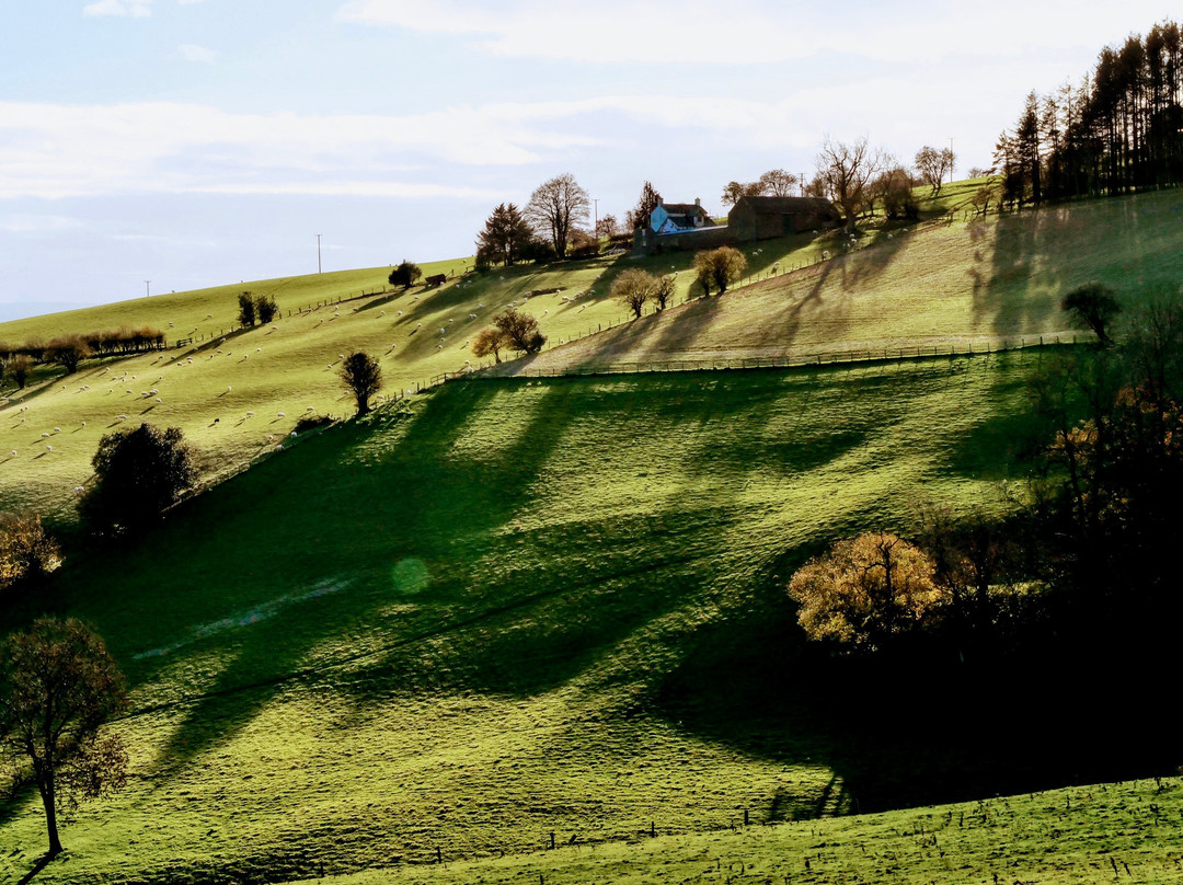 Grosmont Castle景点图片