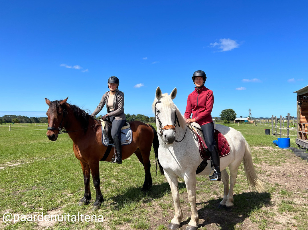 Brave Heart Riding school