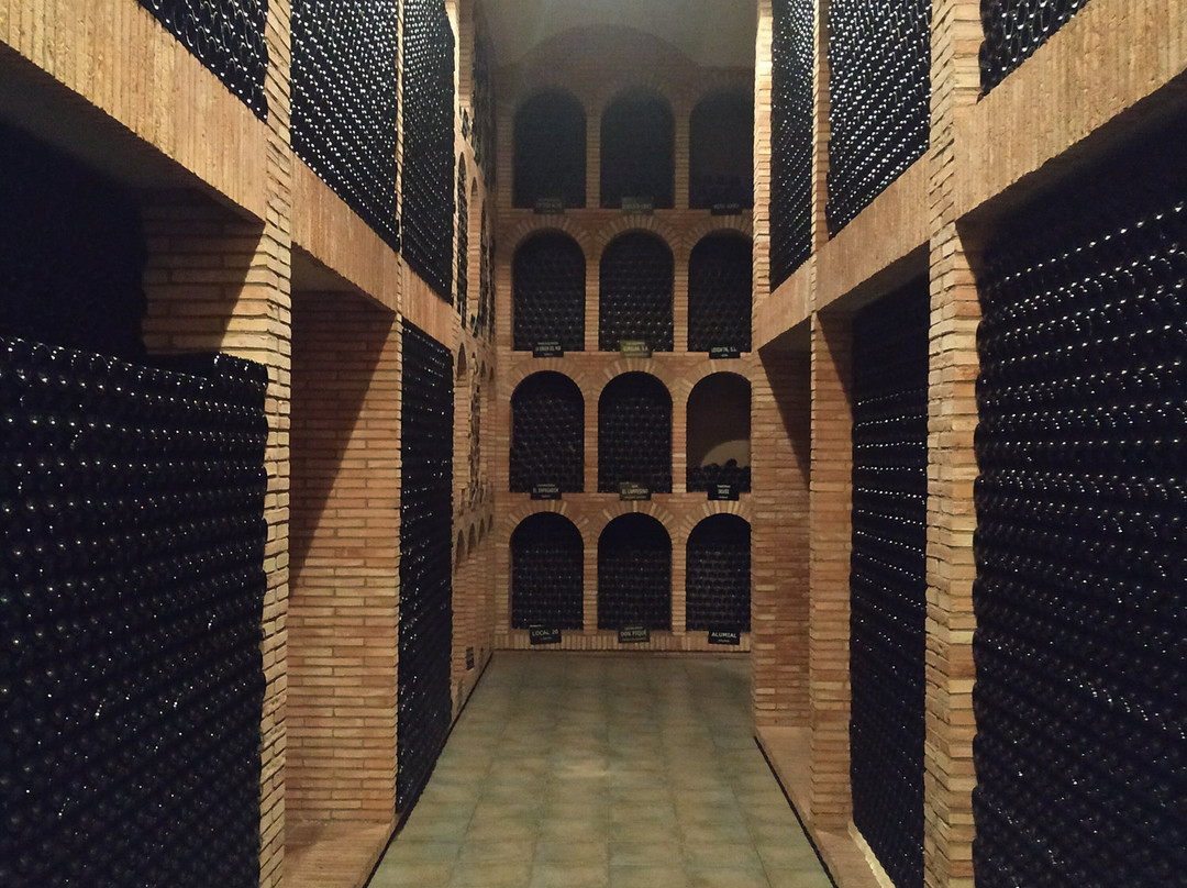 Bodegas Fernández de Piérola-Moreta必去景点