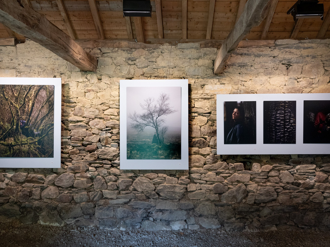 Ecomusee des Monts d'Arree - Maison Cornec景点图片
