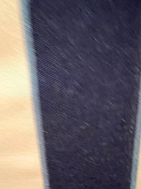 莫罗湾客栈主图