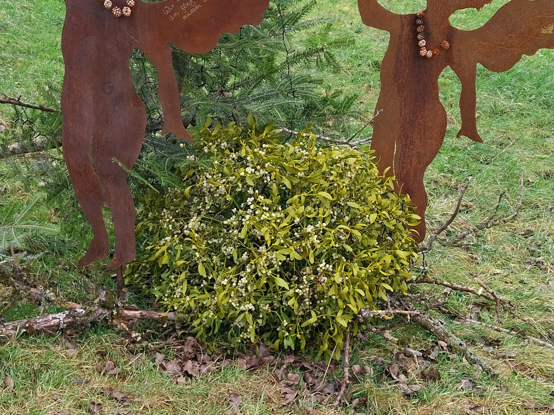 Glottertäler Engelweg景点图片