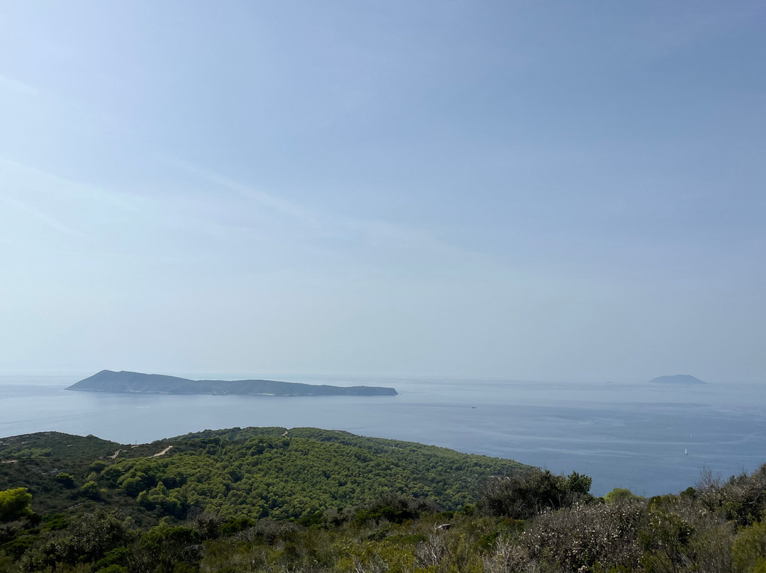 Vis Walking Tours景点图片