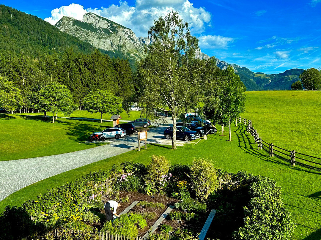 Winterstellgut主图