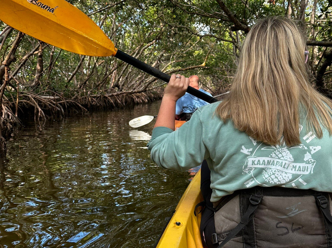 Sea Life Kayak Adventures景点图片