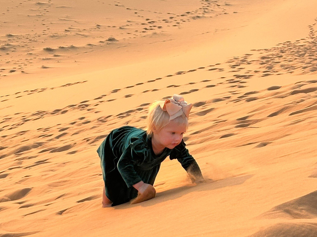 My Saudi Tours-利雅德必去景点