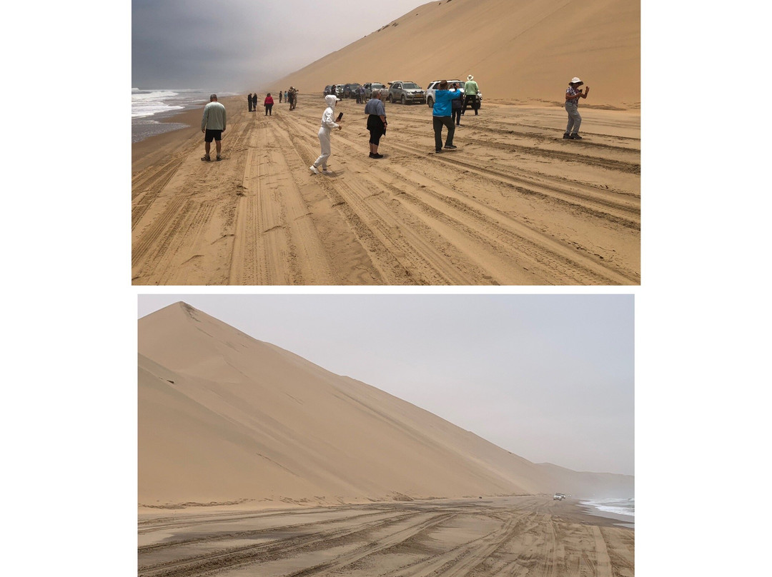 MC Tours-华维斯湾必去景点