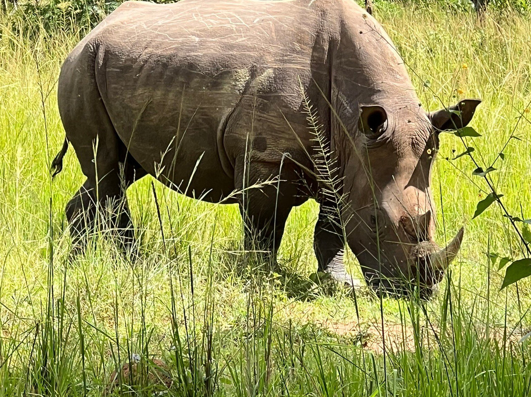 Ankole Safaris Uganda