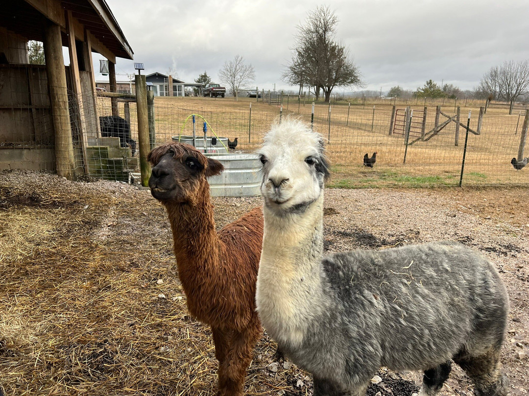 Rocking Chair Farm-Corryton必去景点
