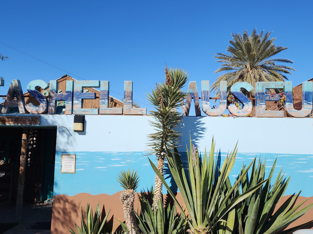 SeaShell Museum-佩纳斯科港必去景点