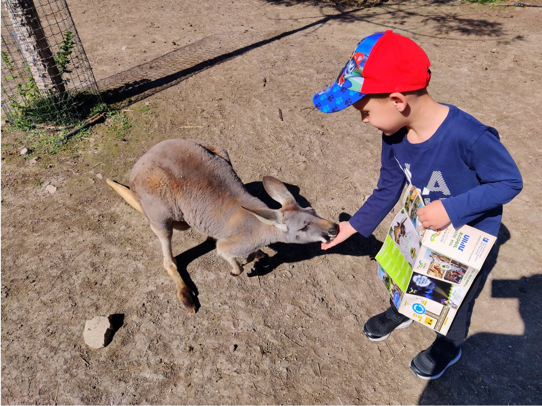 Gan Garoo Zoo-Nir David必去景点