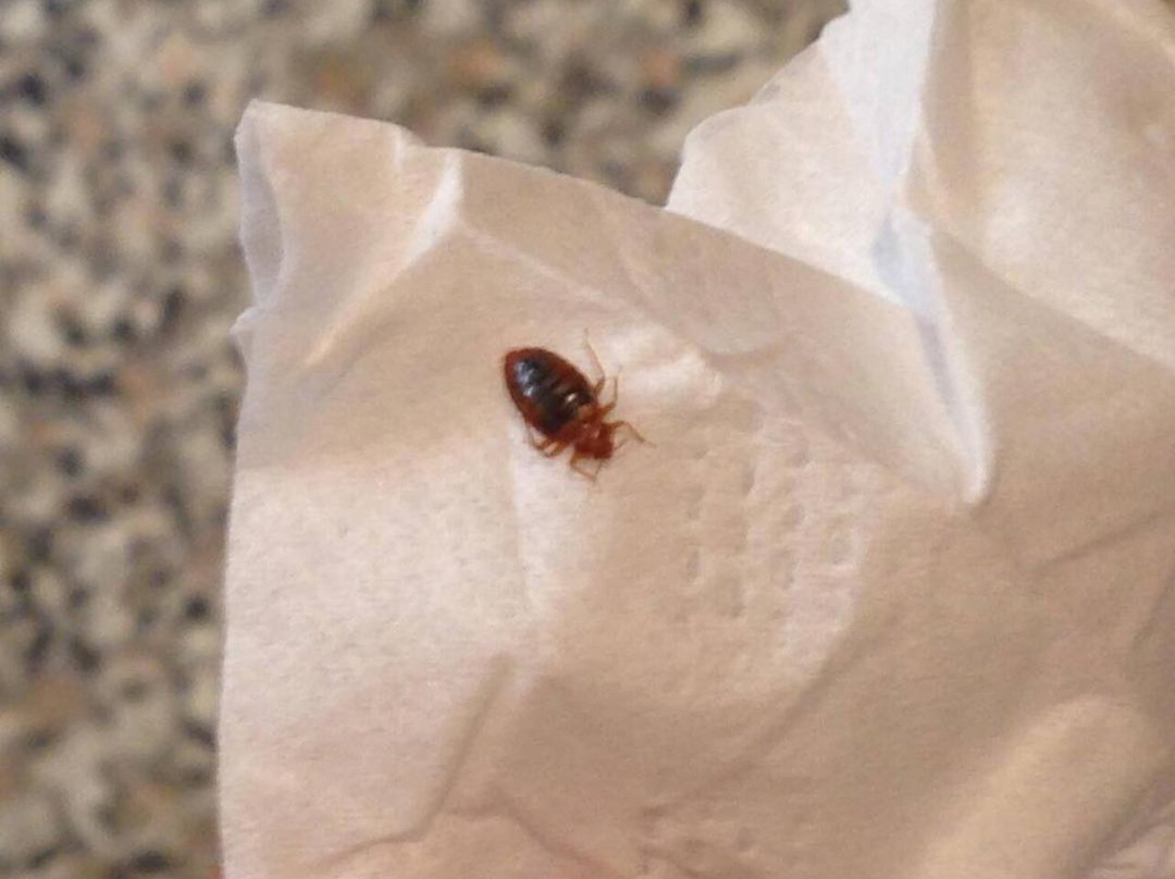 Quality Inn & Suites Civic Center主图