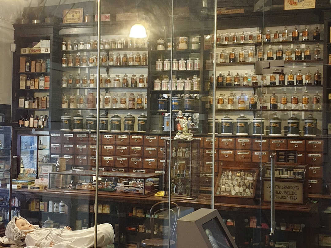 Museum of Norwich at the Bridewell-诺威奇必去景点