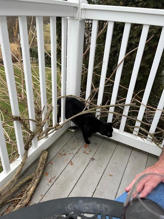 The Inn at Westwynd Farm主图