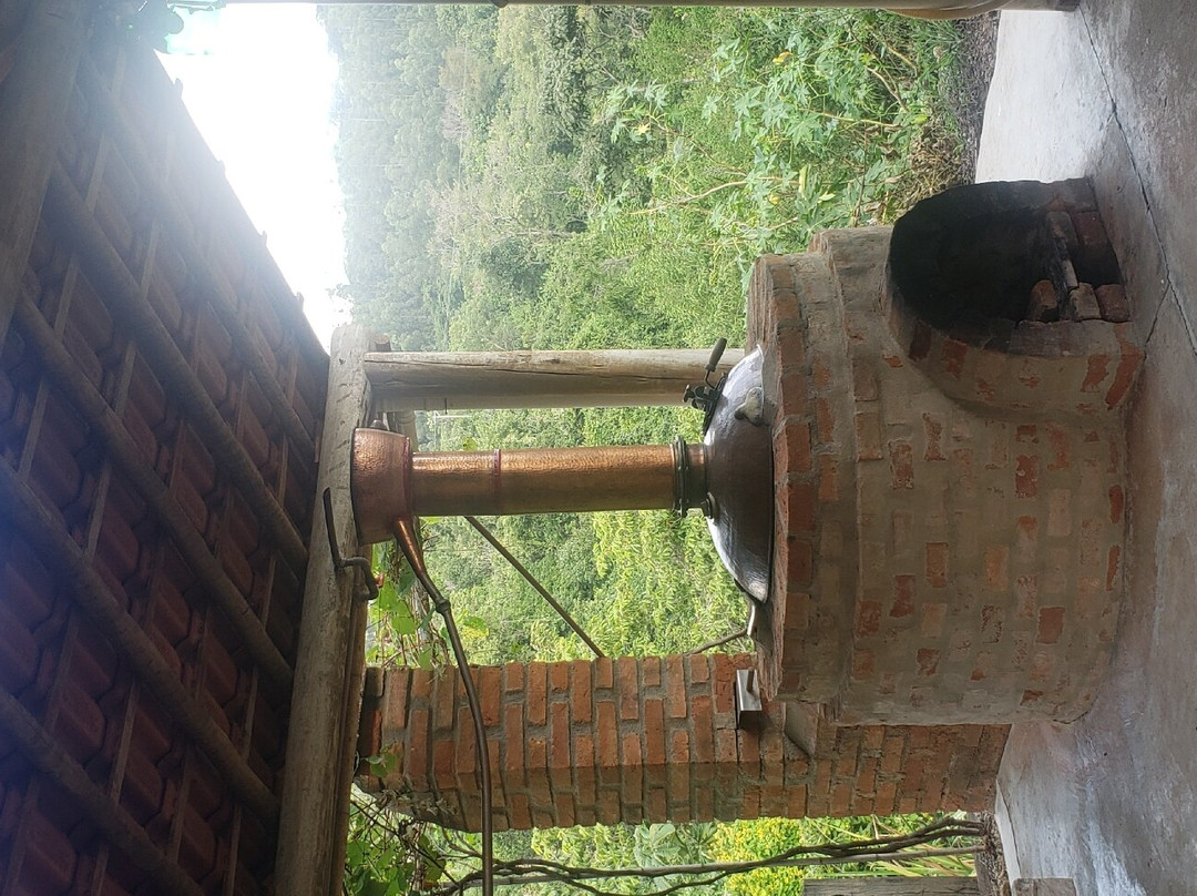 Sitio São Fernando Turismo Rural-塞拉内格拉必去景点