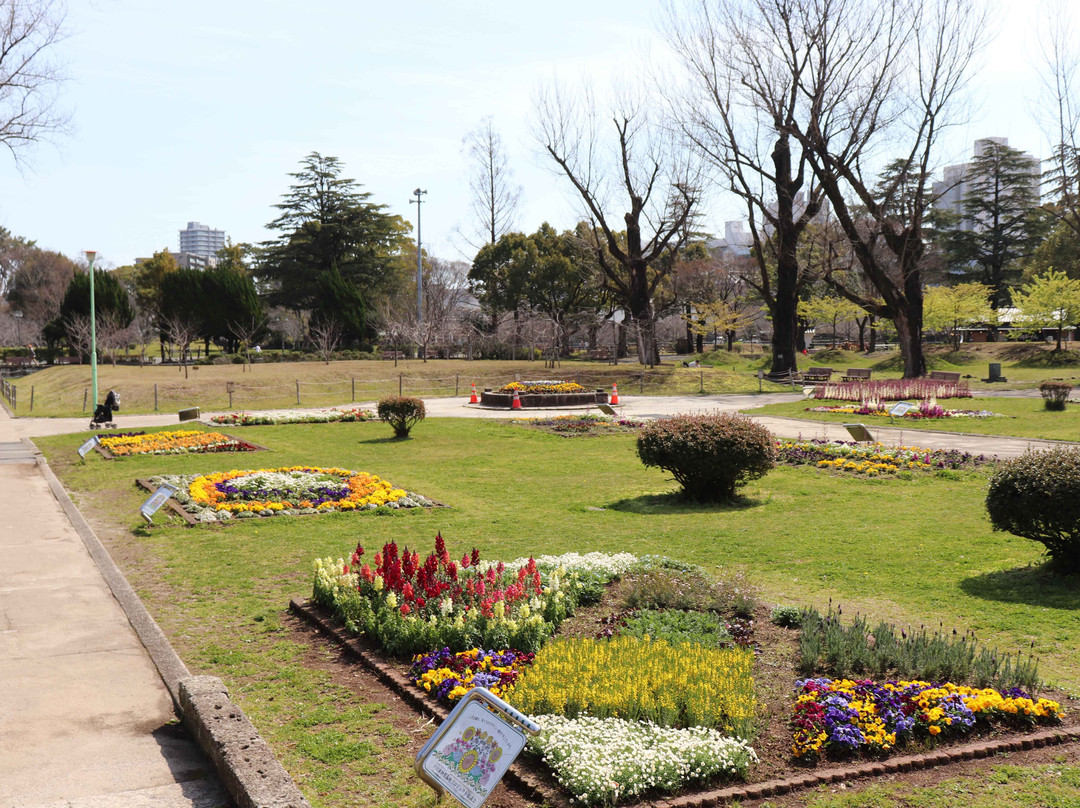 Sumpu Castle Park景点图片