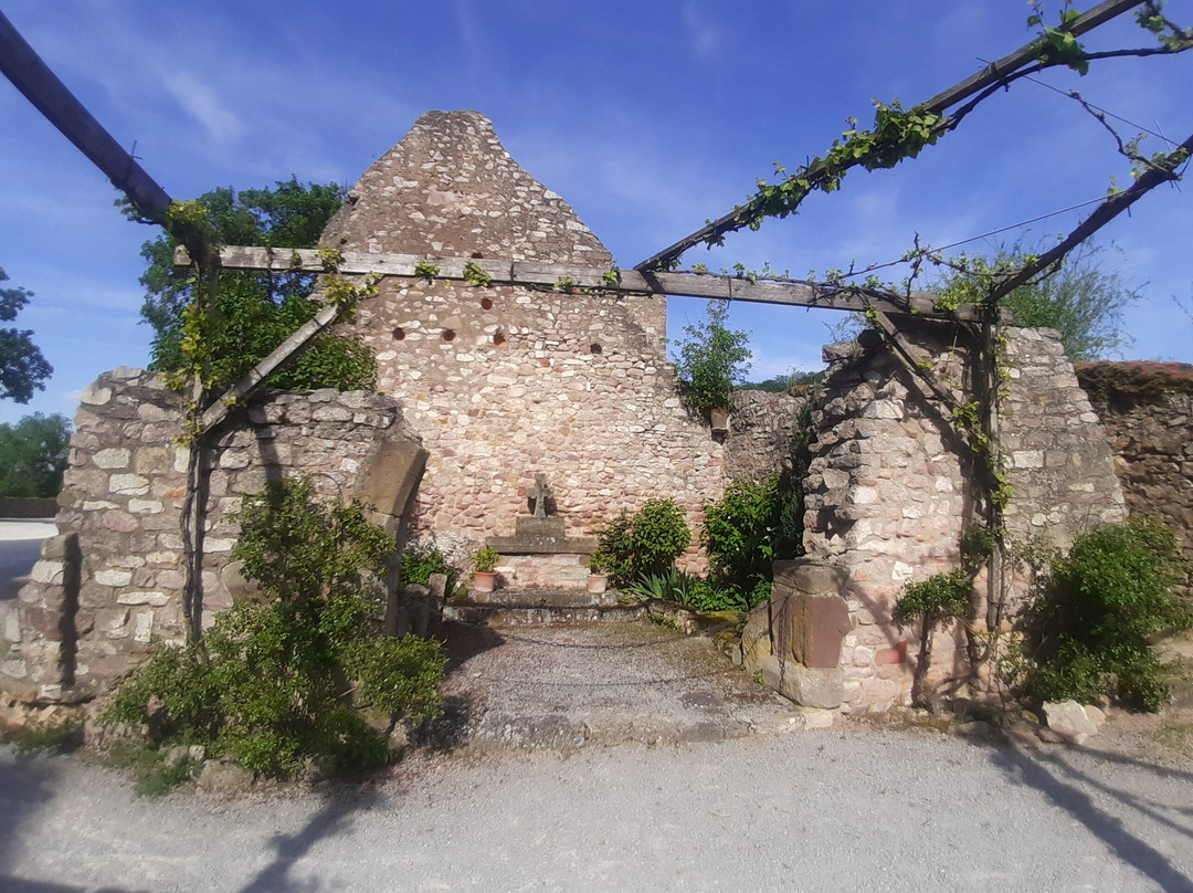 Burg Altenbaumburg-Altenbamberg必去景点