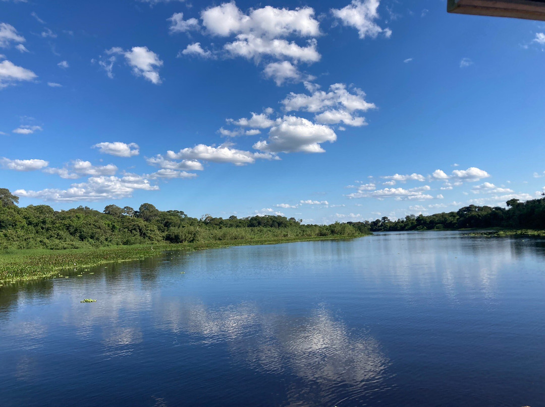 Pantanal Experiência景点图片