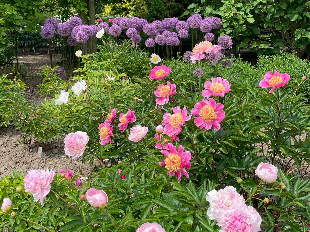 Botanischer Garten Christiansberg景点图片