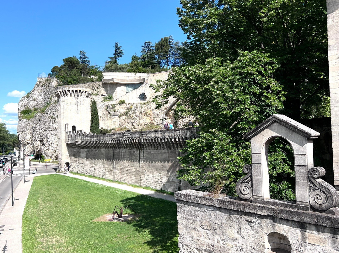 Remparts d'Avignon景点图片