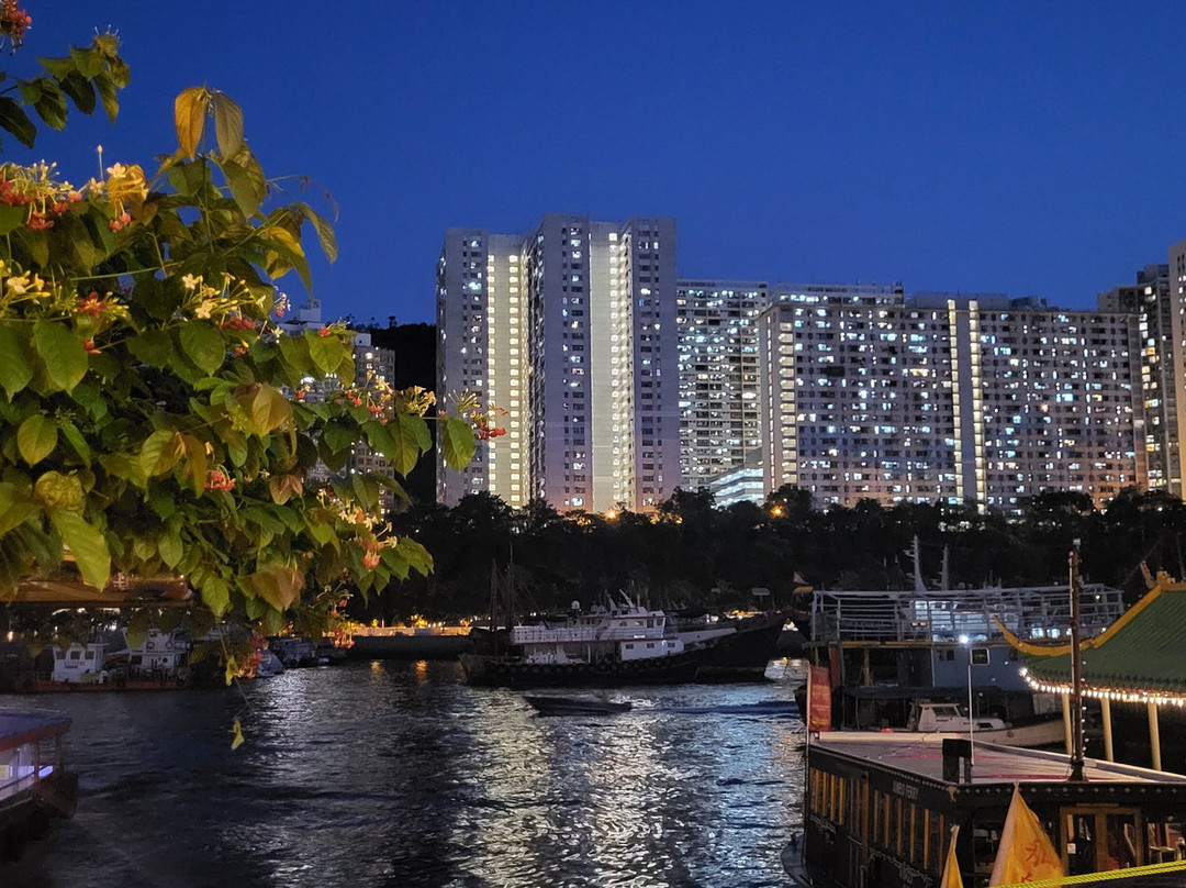 仔鱼市场-香港必去景点