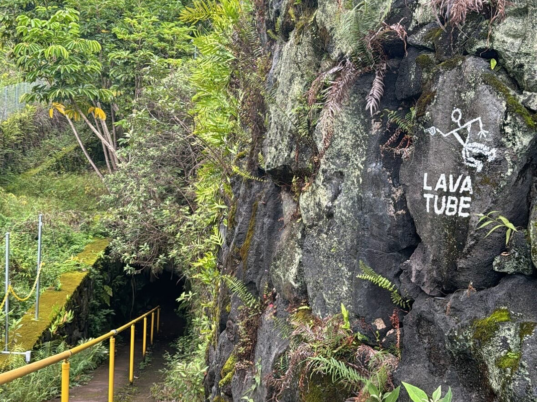 Royal Kona Coffee Center-库克船长必去景点