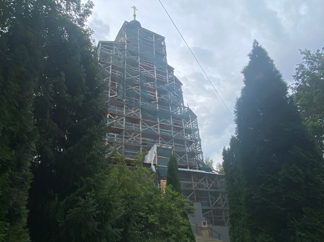 Cathedral of Vladimir Icon of Our Lady景点图片