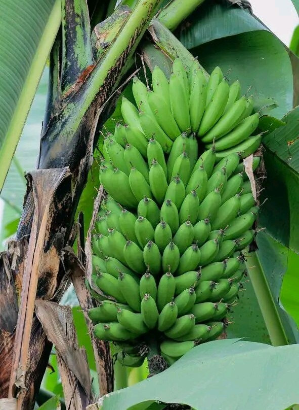 Mugenyi Eco Tours-Rubirizi必去景点