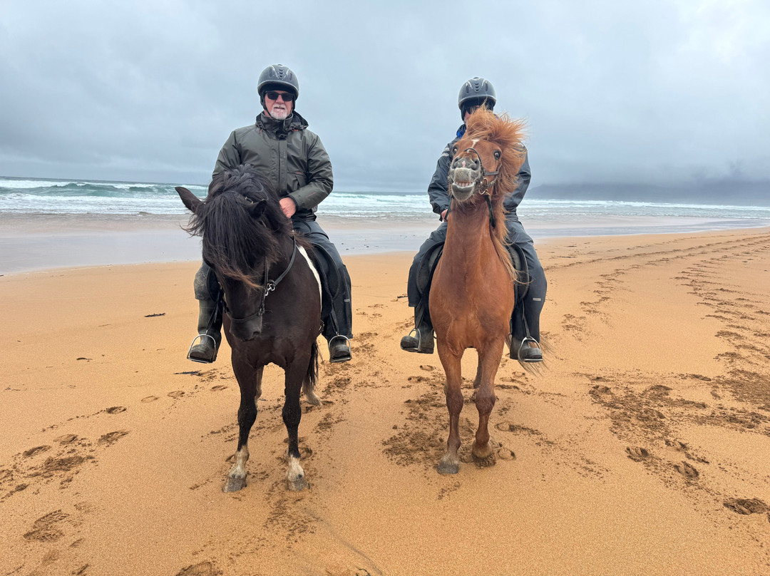 Stori Kambur Horse Rental-Snaefellsbaer必去景点