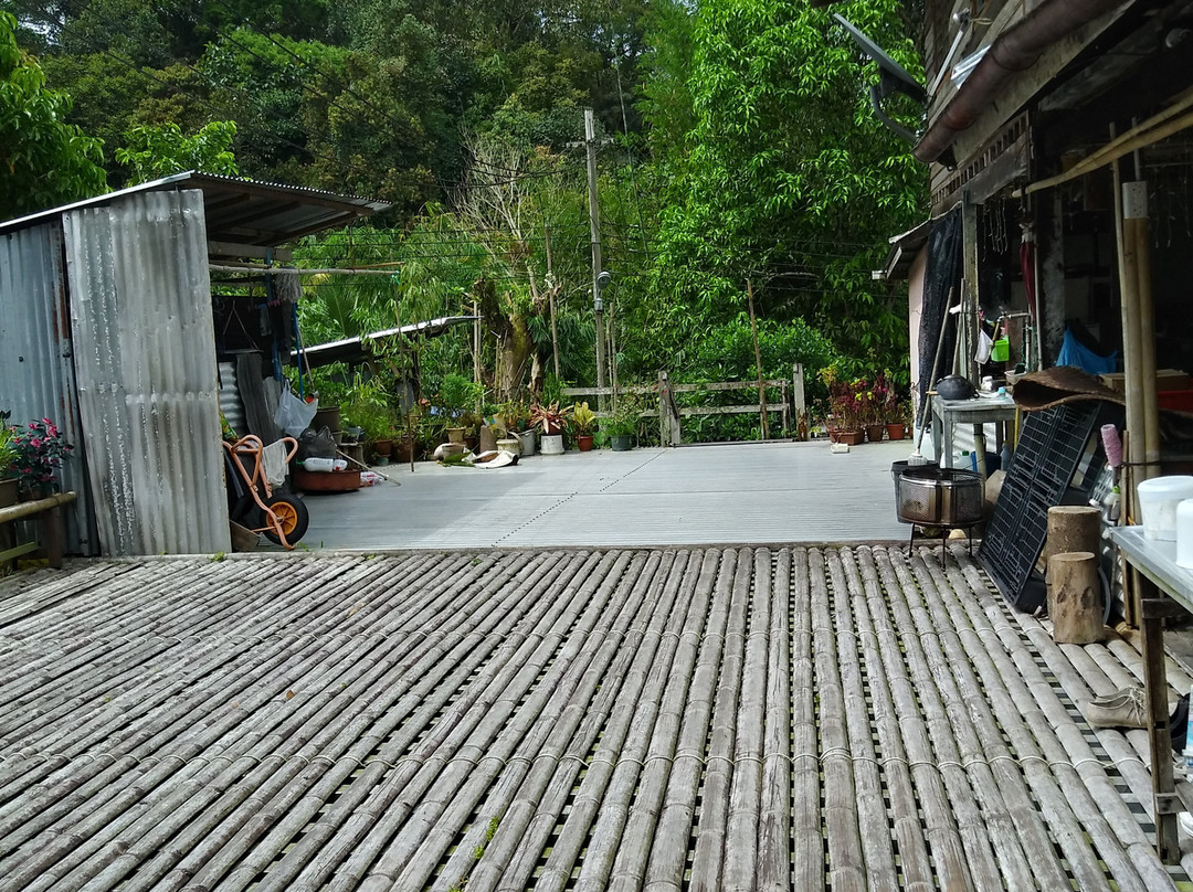 Annah Rais Longhouse Adventure-古晋必去景点