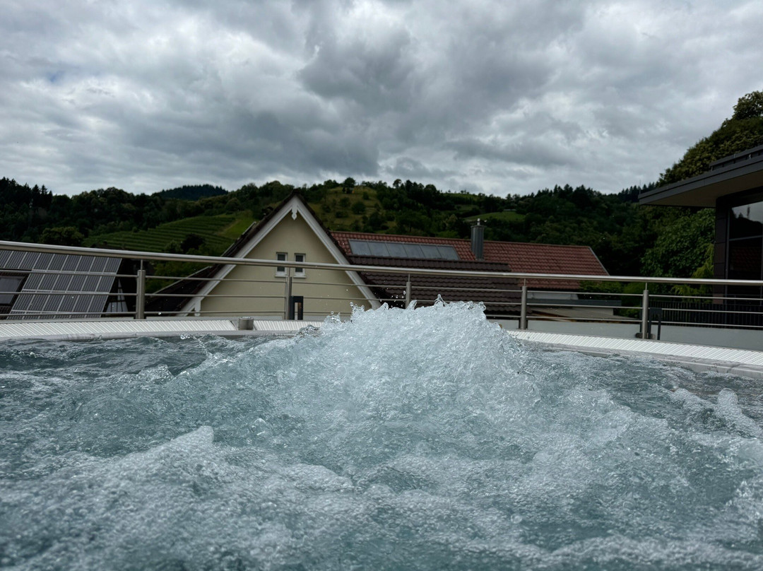 索纳霍夫环形酒店主图
