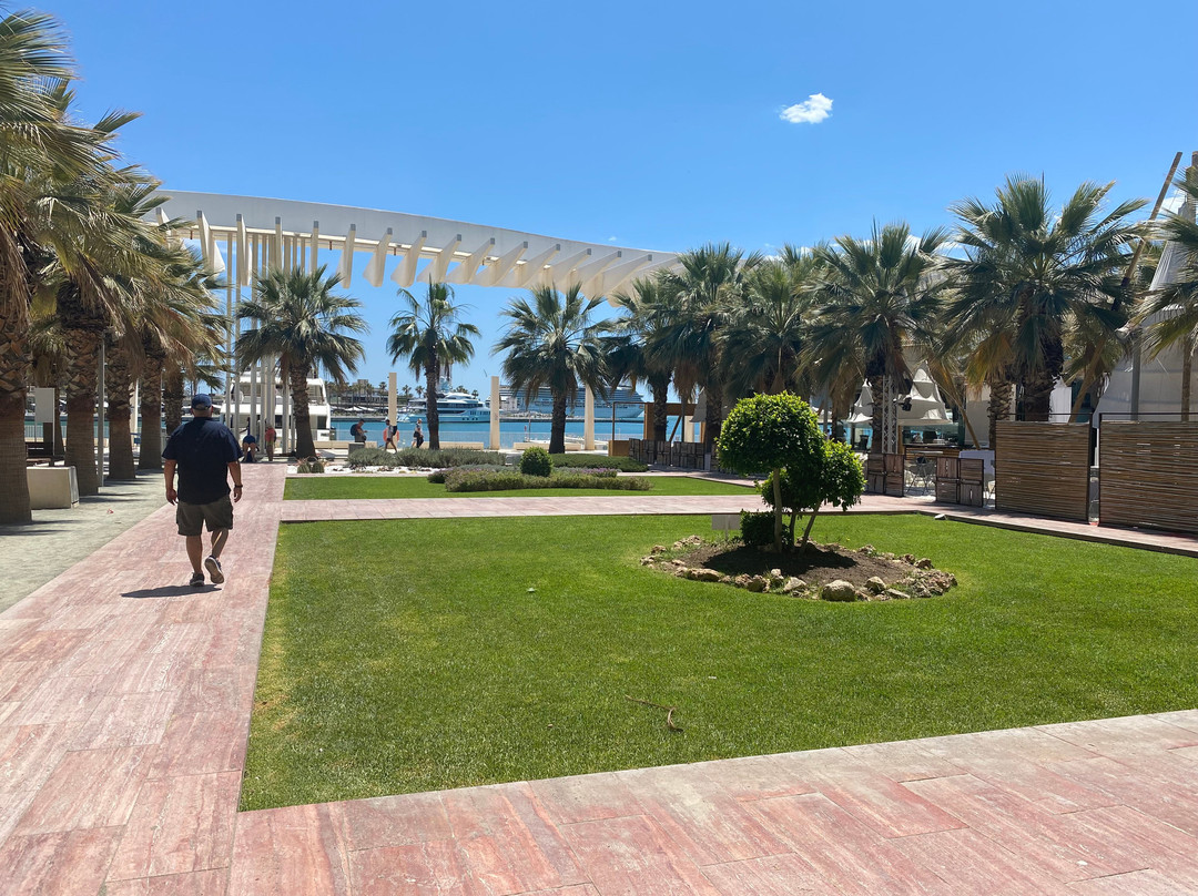 Palmeral de las Sorpresas景点图片