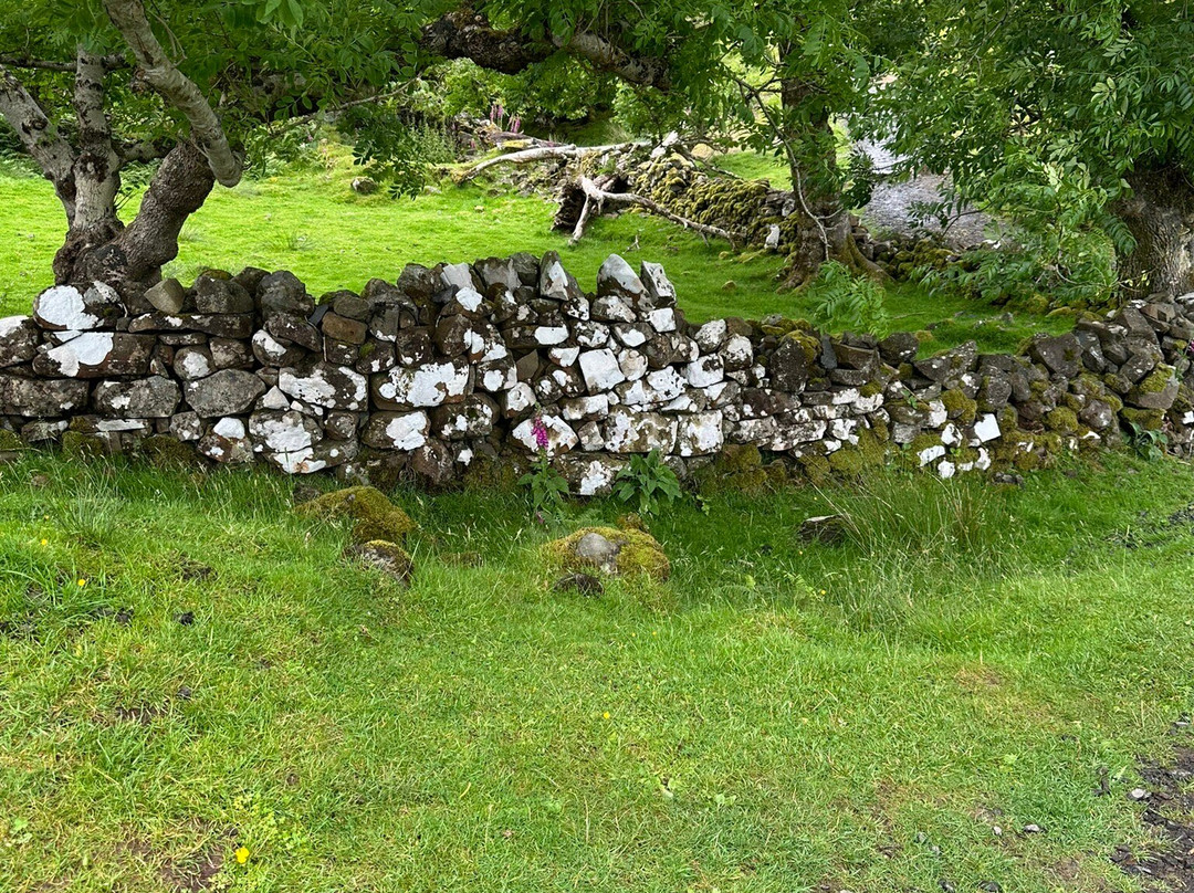 Real Scottish Journeys - Day Tours景点图片