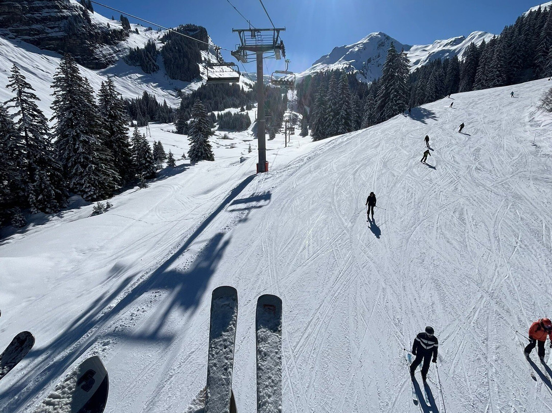 Billski Ski School-莫尔济讷必去景点