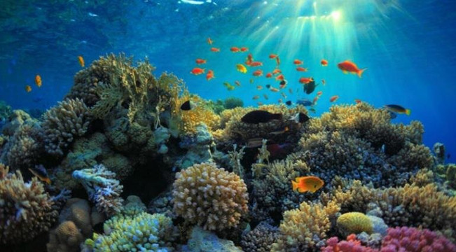 Hurghada Mermaid Tours-赫尔格达必去景点