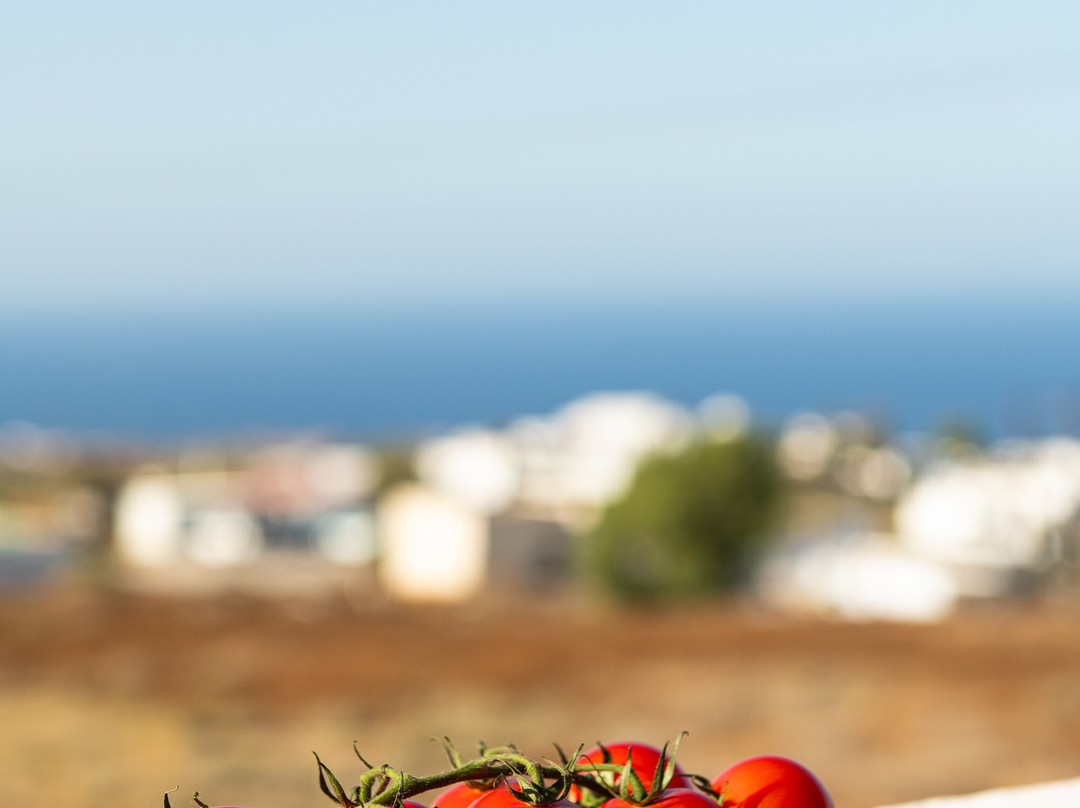 索拉里斯酒店主图