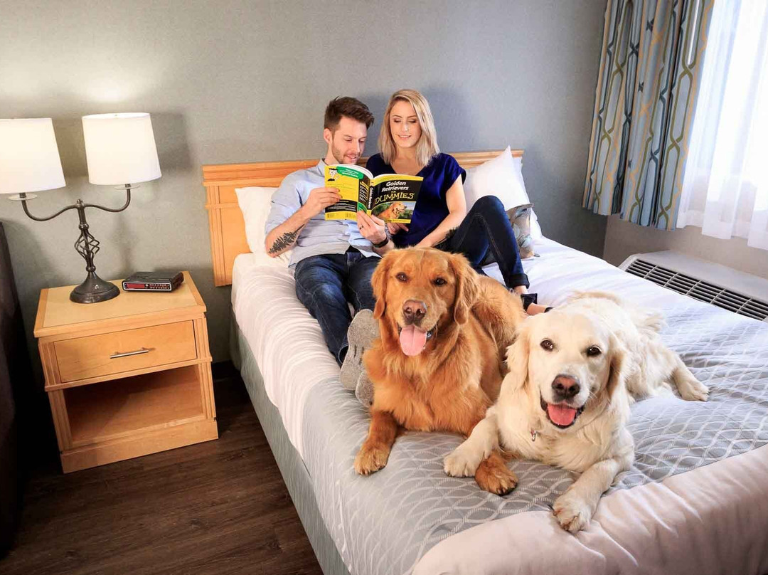 Accent Inn Kelowna主图