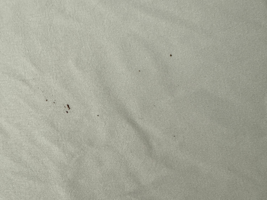 Comfort Inn Moline - Quad Cities主图