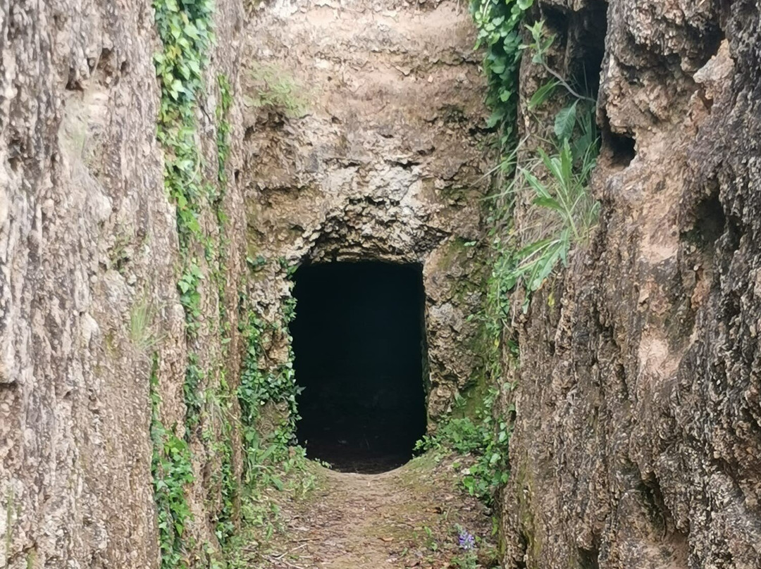 Ufficio Informazioni Turistiche - Sarteano Living-Sarteano必去景点