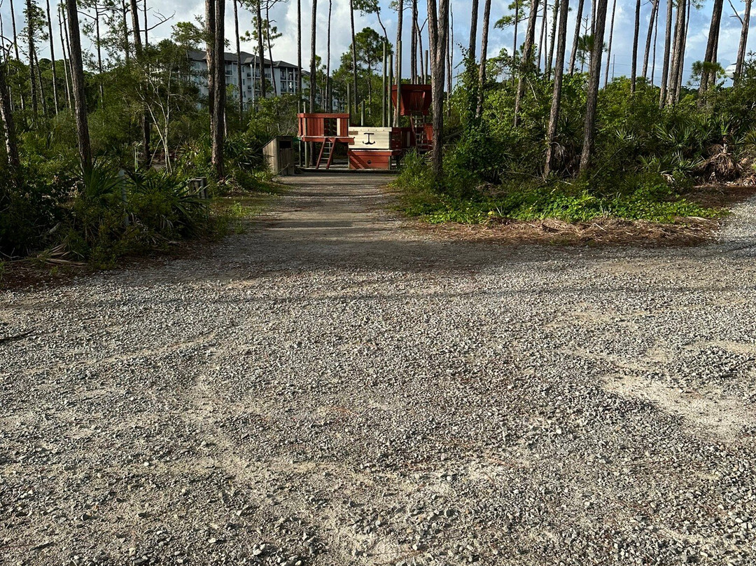 Jolee Island Nature Park景点图片