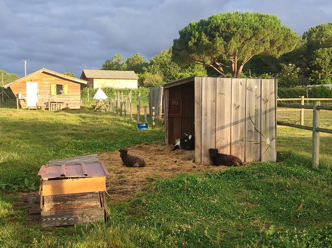 La Ferme À La Plage景点图片
