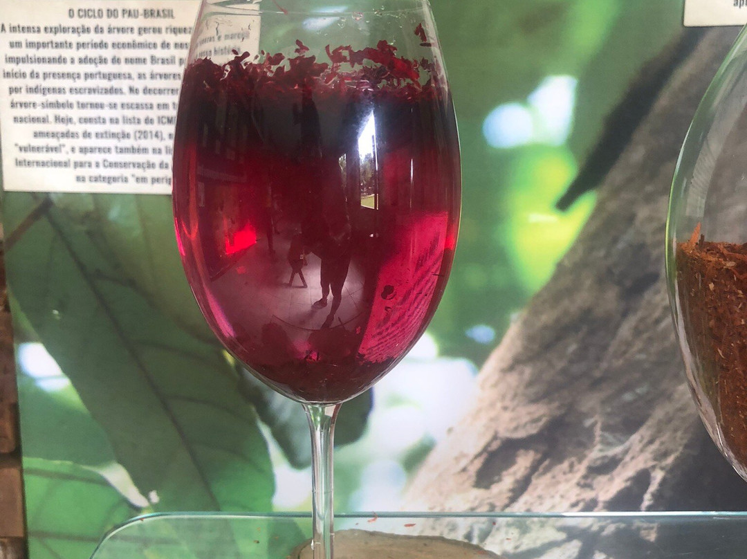 Parque Nacional do Pau Brasil-Porto Seguro必去景点