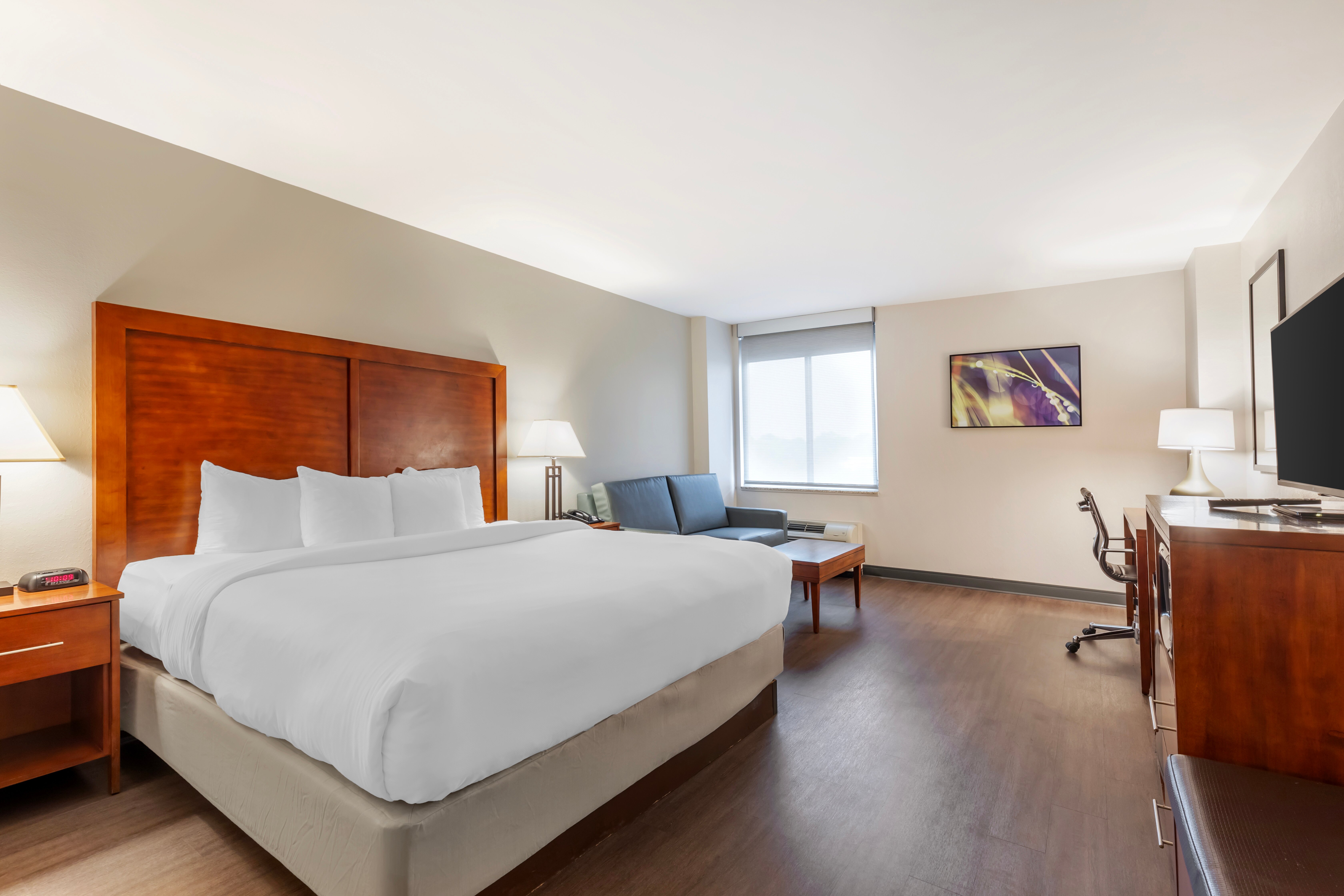 Comfort Inn Conference Center-客卧