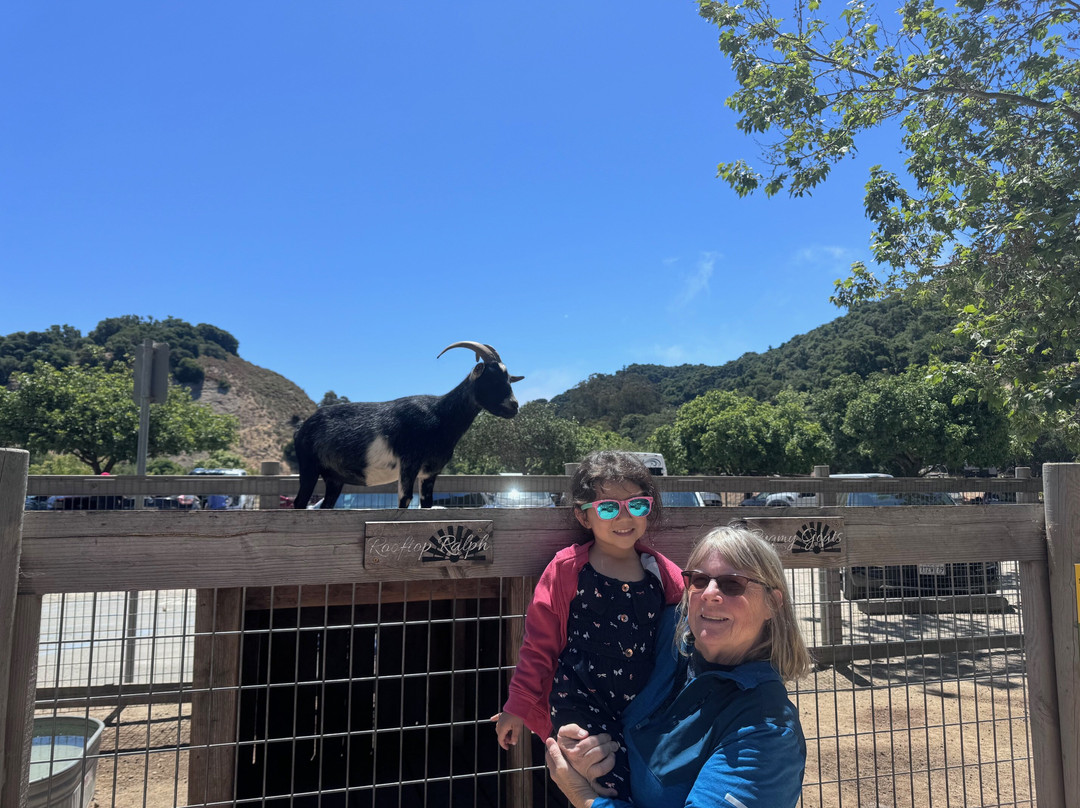 Avila Valley Barn景点图片