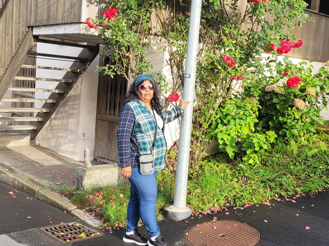 克罗兹酒店主图